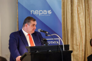 Nepa - Economic Consulting