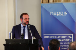 Nepa - Economic Consulting